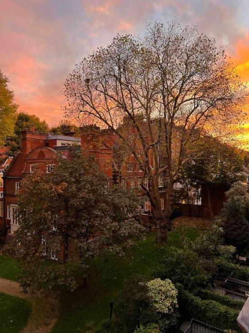 Apartment Luxury 2-bedroom In Prime South Kensington